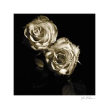 Buy Circus Roses at AllPosters.com