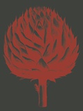 Artichoke, no. 10