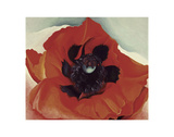 Poppy, c.1927