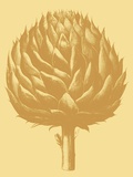 Artichoke, no. 19
