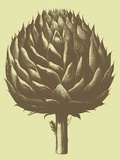Buy Artichoke, no. 3 at AllPosters.com