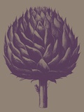 Buy Artichoke, no. 14 at AllPosters.com