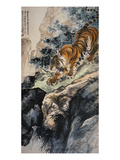 Ferocious Tiger Stalking a Mountain Path