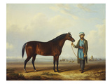 Buy An Arab Stallion Held by a Groom with an Encampment Beyond at AllPosters.com