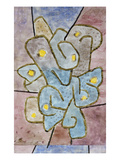 The Lemon Tree; Der Sauerbaum