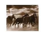 Running Horses and Sunbeams Art Print
