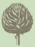 Buy Artichoke, no. 11 at AllPosters.com