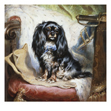 Jeannie, Queen Victoria's Favourite Spaniel