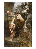 The Fountain of Youth