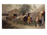 The Circus
