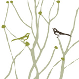 Buy Little Bird at AllPosters.com