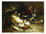 Buy Feeding Time at AllPosters.com