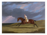 Buy Corduroy', a Bay Racehorse, with a Jockey Up, Galloping on a Racecourse at AllPosters.com
