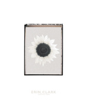 Sunflower Burst