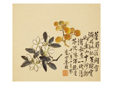 A Page (Flowers) from Flowers and Bird, Vegetables and Fruits