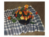 Bowl of Nasturtiums