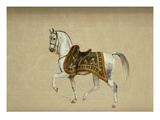 A Horse in Ceremonial Saddlecloth - the Mount of the Marquess Clanricade