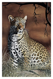 Sitting Leopard