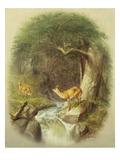 A Cautious Crossing