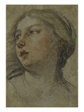 The Head of a Woman Turned to the Left
