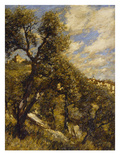 Buy Spring in Provence at AllPosters.com