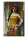 The Favourite of the Harem
