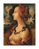 Portrait of Simonetta Vespucci, c. 1480