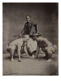 Samurai, Japanese Wrestlers and Tattooed Men, 1870's-90's