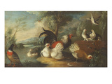 Buy Ducks, Poultry and Doves by a Wall on a River Bank at AllPosters.com