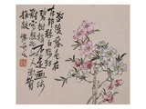 A Page (Flowers) from Flowers and Bird, Vegetables and Fruits