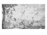General History of the Inhabitants of the Antilles by the French