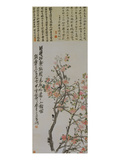 Apricot Blossoms