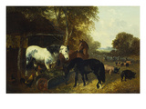 Buy A Farmyard Scene at AllPosters.com