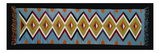 A Navajo Runner