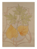 Buy Design with Fig and Vine Leaves and a Sinuous Art Nouveau Motif in the Background. at AllPosters.com