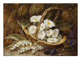 Spring; and Autumn