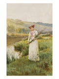 Across the Meadows