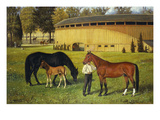 The Training Track on the Fairgrounds