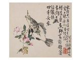 A Page (Fish) from Flowers and Bird, Vegetables and Fruits