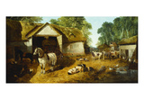 Meopham Farmyard