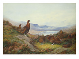 Morning of the Twelfth