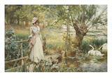 A Summer's Afternoon
