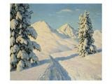 Buy Winter Landscape at AllPosters.com