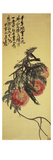 Three Peaches