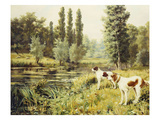 Buy A Point to the Far Riverbank at AllPosters.com