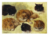 Buy Studies of Cats at AllPosters.com