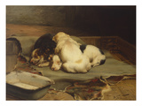 Buy Puppies Sleeping at AllPosters.com