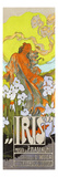 Iris Giclee Print