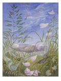 Buy Death But a Sleep / When the Spring Begins' at AllPosters.com