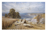 Harvesting on the South Coast